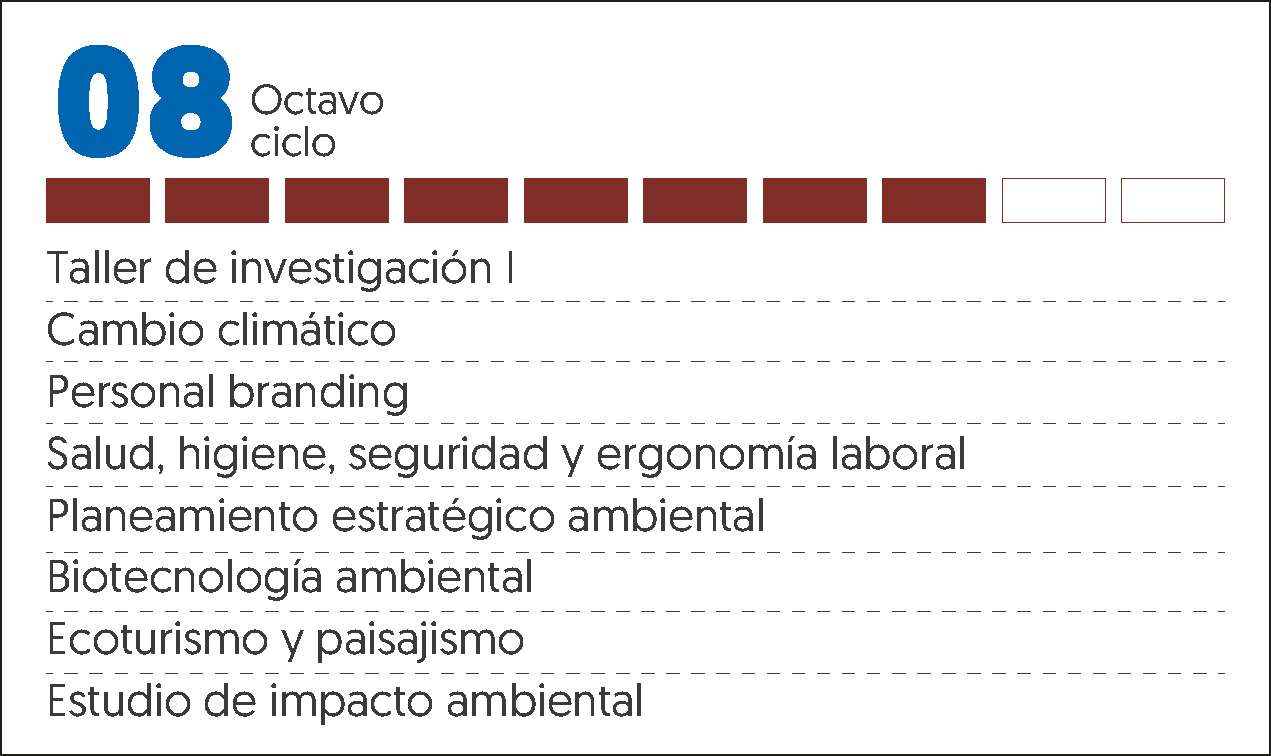 MALLA CURRICULAR ING MEDIO AMBIENTE Y DESARROLLO-8