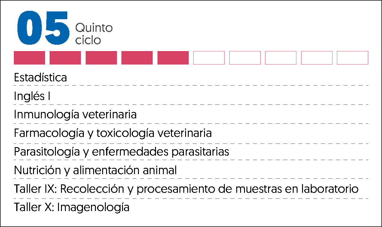 MALLA CURRICULAR VETERINARIA Y ZOOTECNIA-5