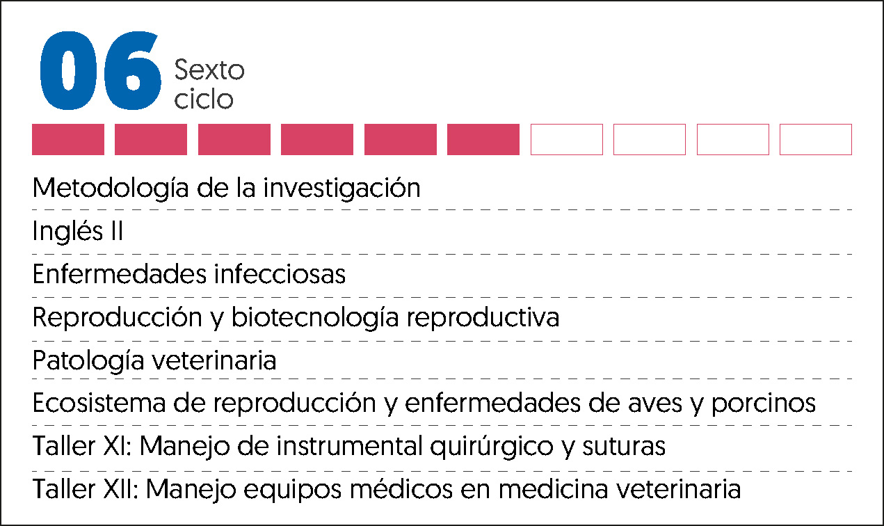MALLA CURRICULAR VETERINARIA Y ZOOTECNIA-6